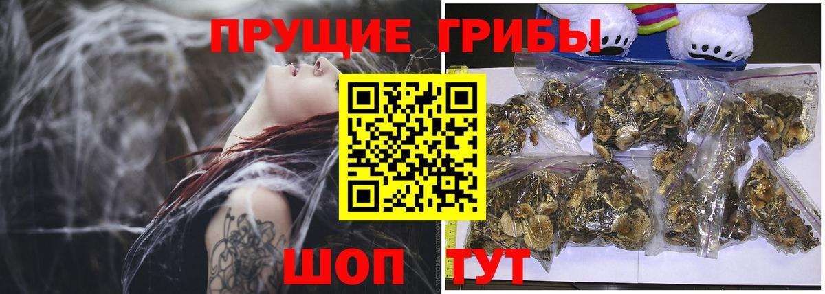 Псилоцибиновые грибы ЛСД Тайшет